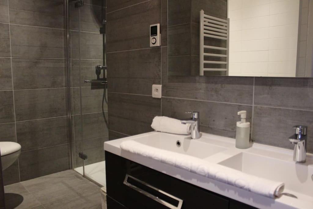 Le Jane : Centre Ville, Garage, Balcon آنسي المظهر الخارجي الصورة
